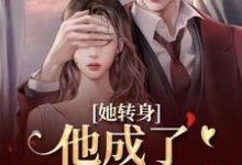 她转身,他成了不放的疯批完整版小说她转身,他成了不放的疯批(陆芷霍征铭)全章小说阅读-维C文学