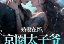 (全文)娇妻在怀，京圈太子爷低头诱宠完结小说推荐苏渝穆寒昭全本书籍阅读-维C文学