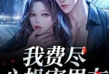 (全文)我费尽心机害男友,他却笑了笑?(黎芷傅嘉正)全本书籍阅读我费尽心机害男友,他却笑了笑?免费小说全本-维C文学