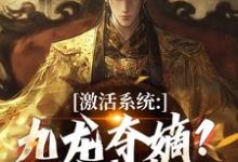 (全文)激活系统：九龙夺嫡？都给我靠边热门小说排行榜，激活系统：九龙夺嫡？都给我靠边衡顺李景源全章小说阅读-维C文学