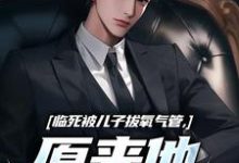 (全文)临死被儿子拔氧气管,原来他非亲生(林子阳)试读更新章节临死被儿子拔氧气管,原来他非亲生免费小说-维C文学