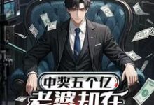 (全文)中奖五个亿,老婆却在领奖前提离婚(陈志)全本书籍阅读中奖五个亿,老婆却在领奖前提离婚免费小说全本-维C文学