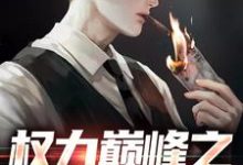 权力巅峰之红色仕途（张文定）全本书籍阅读权力巅峰之红色仕途完整版小说-维C文学