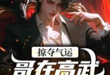 掠夺气运,哥在高武世界赢麻了沈无萧完结小说推荐,掠夺气运,哥在高武世界赢麻了全章小说阅读-维C文学
