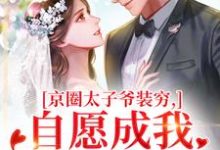 京圈太子爷装穷,自愿成我的金丝雀(秦婕妤殷权)全章小说阅读-维C文学