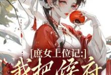(全文)庶女上位记:我把侯府拿捏了七娘萧战全本免费在线阅读-维C文学