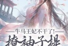 (全文)牛马王妃不干了!撩袖子提和离独美完结小说推荐萧北策云初七全本书籍阅读-维C文学