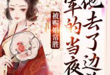 被赐婚常胜将军的当夜,他去了边关完整版小说,被赐婚常胜将军的当夜,他去了边关青妩燕昭试读更新章节-维C文学