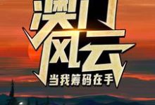 (全文)澳门风云:当我筹码在手(王东曼丽)全本书籍阅读澳门风云:当我筹码在手免费小说全本-维C文学