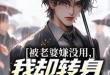 (全文)被老婆嫌没用，我却转身成了首富！（唐仁林紫嫣）试读更新章节被老婆嫌没用，我却转身成了首富！免费小说-维C文学