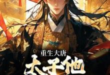 (全文)重生大唐:太子他强势夺权完结小说推荐李承乾李世民全本书籍阅读-维C文学