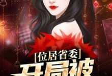 位居省委,开局被妻子举报完整版小说位居省委,开局被妻子举报(苏玉黎锦)全章小说阅读-维C文学