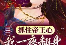 (全文)抓住帝王心，我一夜翻身成宠妃（萧煜沈芙）全本书籍阅读抓住帝王心，我一夜翻身成宠妃免费小说全本-维C文学