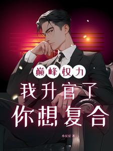巅峰权力：我升官了你想复合完整版小说，巅峰权力：我升官了你想复合林磊试读更新章节