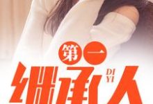 第一继承人完整版小说,第一继承人徐飞试读更新章节-维C文学