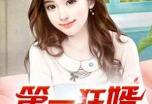 第一狂婿推荐完结小说第一狂婿(林枫)免费小说全本-维C文学