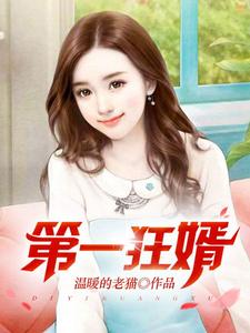 第一狂婿推荐完结小说第一狂婿(林枫)免费小说全本