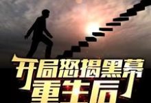 开局怒揭黑幕,重生后整顿官场(陈知行)全本书籍阅读开局怒揭黑幕,重生后整顿官场完整版小说-维C文学