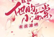 白棠软诱!他的小海棠有些难哄全本免费在线阅读-维C文学