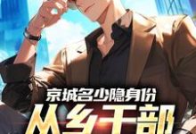 京城名少隐身份，从乡干部开始逆袭（谢斌裴靖泽）全本书籍阅读京城名少隐身份，从乡干部开始逆袭完整版小说-维C文学