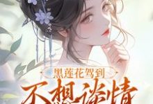 (全文)黑莲花完结小说推荐宁司寒林妩全本书籍阅读-维C文学