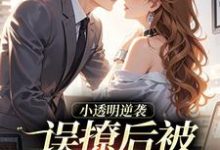 小透明逆袭完整版小说小透明逆袭(许惟昭方肃礼)全章小说阅读-维C文学