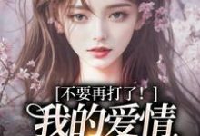 (全文)不要再打了!我的爱情我自己选完结小说推荐裴撤苏暖全本书籍阅读-维C文学
