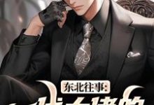 (全文)东北往事:一代大佬的成功之路王晨马三最新完结小说东北往事:一代大佬的成功之路免费小说全本-维C文学