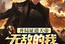 (全文)开局证道天帝，无敌的我在地球乱杀(叶凌天叶小雨)全本免费在线阅读-维C文学