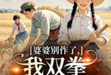 (全文)婆婆别作了,我双拳一出就是虐(夏晚晴赵宴京)全本书籍阅读婆婆别作了,我双拳一出就是虐免费小说全本-维C文学