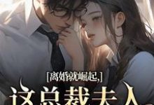 (全文)离婚就崛起,这总裁夫人她不做了苏心瑶南羽陌全本免费在线阅读-维C文学