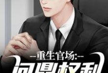 重生官场：问鼎权利之巅热门小说排行榜重生官场：问鼎权利之巅林峰刘艳茹免费小说全本-维C文学