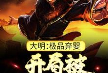 大明：极品弃婴，开局被老朱捡回家朱炫最新完结小说，大明：极品弃婴，开局被老朱捡回家全本免费在线阅读-维C文学