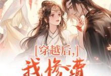 穿越后，我惨遭主角团抛弃（穆长安宋律）全章小说阅读-维C文学