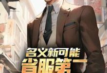 (全文)名义新可能:省服第二能否逆转大局热门小说排行榜,名义新可能:省服第二能否逆转大局萧承李妙灵全章小说阅读-维C文学