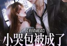 将错就错:小哭包被成了大佬心尖宠慕汀洲姜桃完结小说推荐将错就错:小哭包被成了大佬心尖宠全本书籍阅读-维C文学