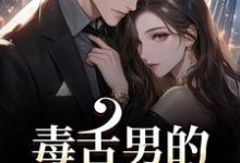 盛京御宋听晚毒舌男的温柔攻势全本免费在线阅读-维C文学