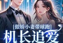 (全文)傲娇小妻带球跑,机长追爱不停歇(顾予琛徐歆薇)全本书籍阅读傲娇小妻带球跑,机长追爱不停歇免费小说全本-维C文学