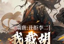 (全文)隋唐:丑拒李二,我截胡众枭雄李渊吴缺最新完结小说隋唐:丑拒李二,我截胡众枭雄免费阅读-维C文学