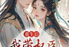重生后,我带权臣杀入前夫府内沈月昭陆明渊免费小说重生后,我带权臣杀入前夫府内推荐完结小说-维C文学