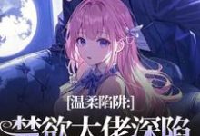温柔陷阱：禁欲大佬深陷追妻修罗场热门小说排行榜温柔陷阱：禁欲大佬深陷追妻修罗场温荣仓央嘉措免费小说全本-维C文学