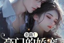 套路！豪门的娇宠千金撩夫了（颜亦辰梵晞悦）全章小说阅读-维C文学