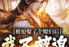 (全文)被迫娶了个媳妇后,我又被迫上战场凌晨青柠小说推荐,被迫娶了个媳妇后,我又被迫上战场全章小说阅读-维C文学