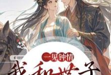 一见钟情,我和世子天生一对(沈如风苏云锦)全本书籍阅读一见钟情,我和世子天生一对完整版小说-维C文学
