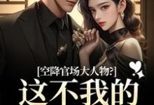 空降官场大人物?这不我的裙下臣吗推荐完结小说空降官场大人物?这不我的裙下臣吗(顾杳周政良)免费小说全本-维C文学