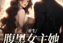 (全文)重生:腹黑女主她携霸总而来沈禾宋敬呈小说推荐,重生:腹黑女主她携霸总而来全章小说阅读-维C文学