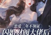 恋爱三年不领证，闪婚财阀大佬后他急疯热门小说排行榜恋爱三年不领证，闪婚财阀大佬后他急疯苏婠周衍焱免费小说全本-维C文学
