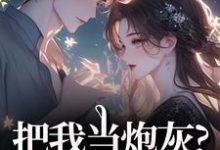 (全文)把我当炮灰?来人!给我虐(谢宏屿林昭)全本免费在线阅读-维C文学