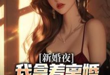 新婚夜，我拿着离婚协议黯然离场完整版小说，新婚夜，我拿着离婚协议黯然离场叶修远白若雪全章小说阅读-维C文学
