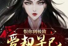 (全文)恨你到极致，爱却早已深入骨髓(苏婉江忱序)全本免费在线阅读-维C文学